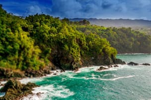 Sustainability and Climate